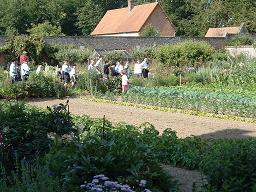 Visite du potager